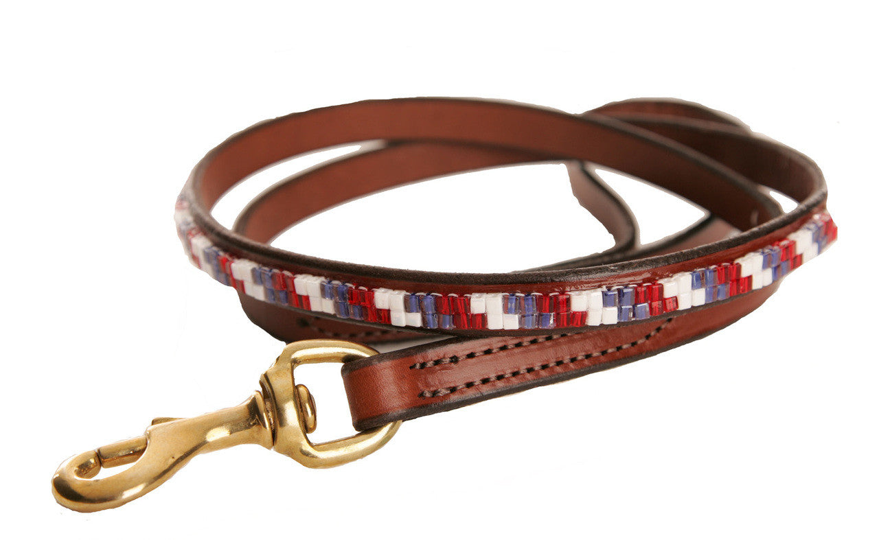 Independence Pet Leash