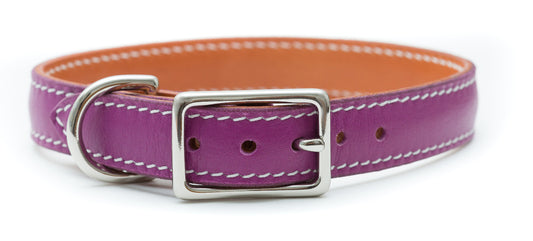Prestige Purple Pet Collar
