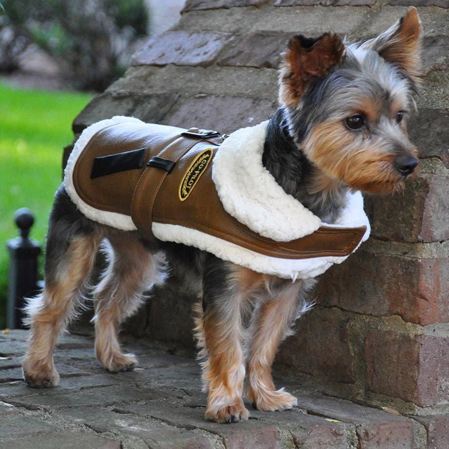 Designer Dog Coats- Co Pilot Bomber Jacket